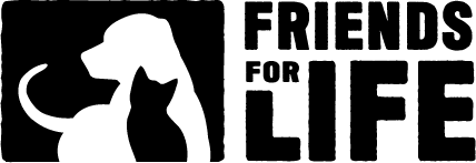 FFL-Logo-2020.png